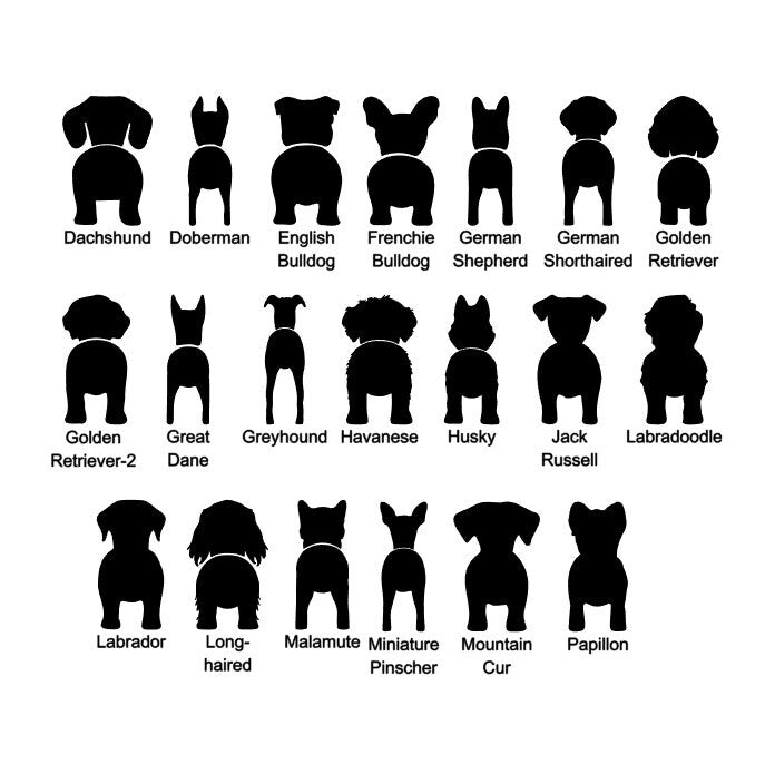 Personalized Dog Leash Holder for Wall / Dog Butt Leash Hook Sign / Custom Pet Gifts / Hook for Entryway / 1 Dog / 2 Dogs / 3 Dogs / 4 Dogs