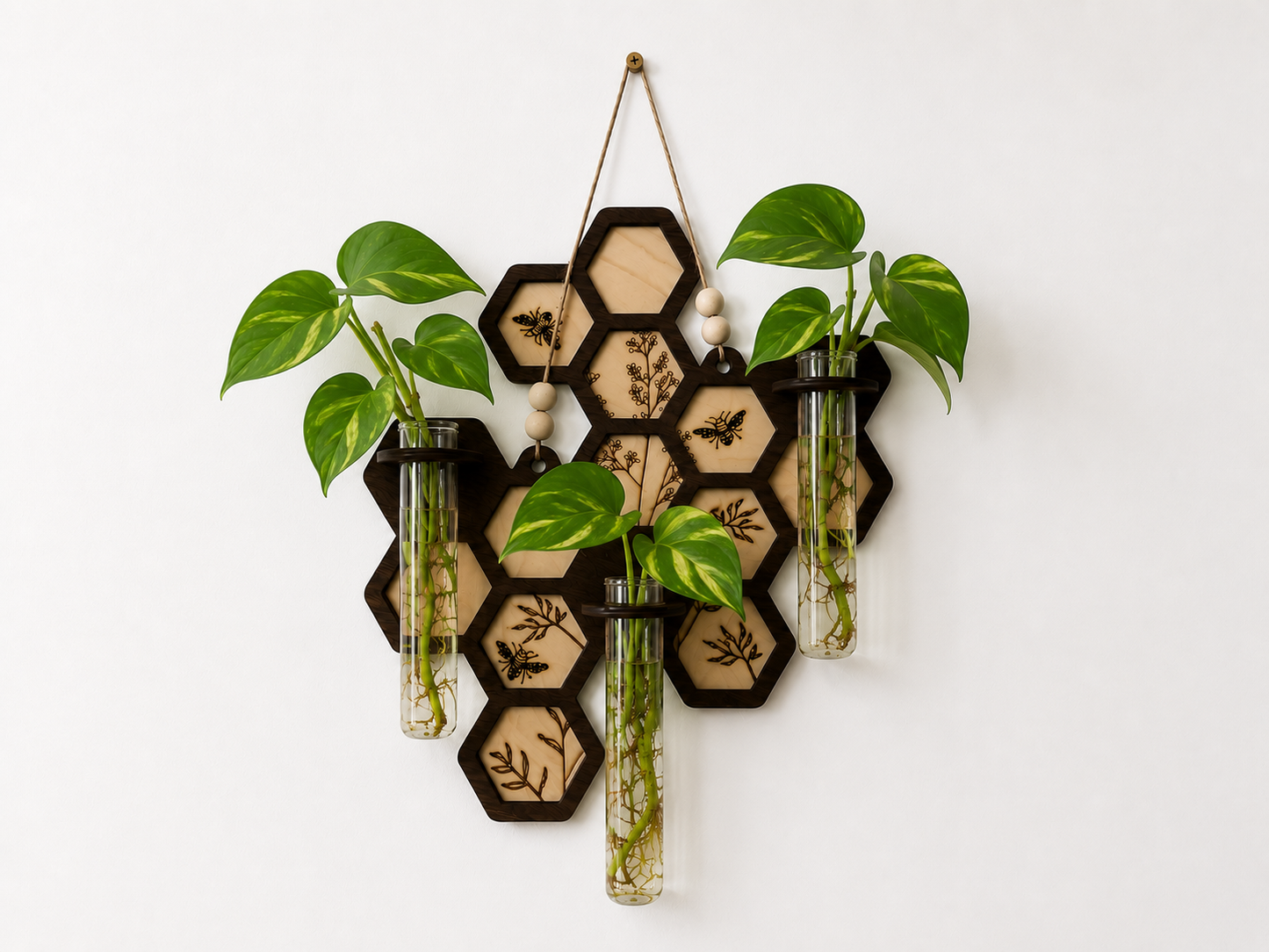 Honeycomb Plant Propagation Station Wall Hanging | Handmade Wood Propagation Station with Glass Tubes | Modern Boho Plant Decor