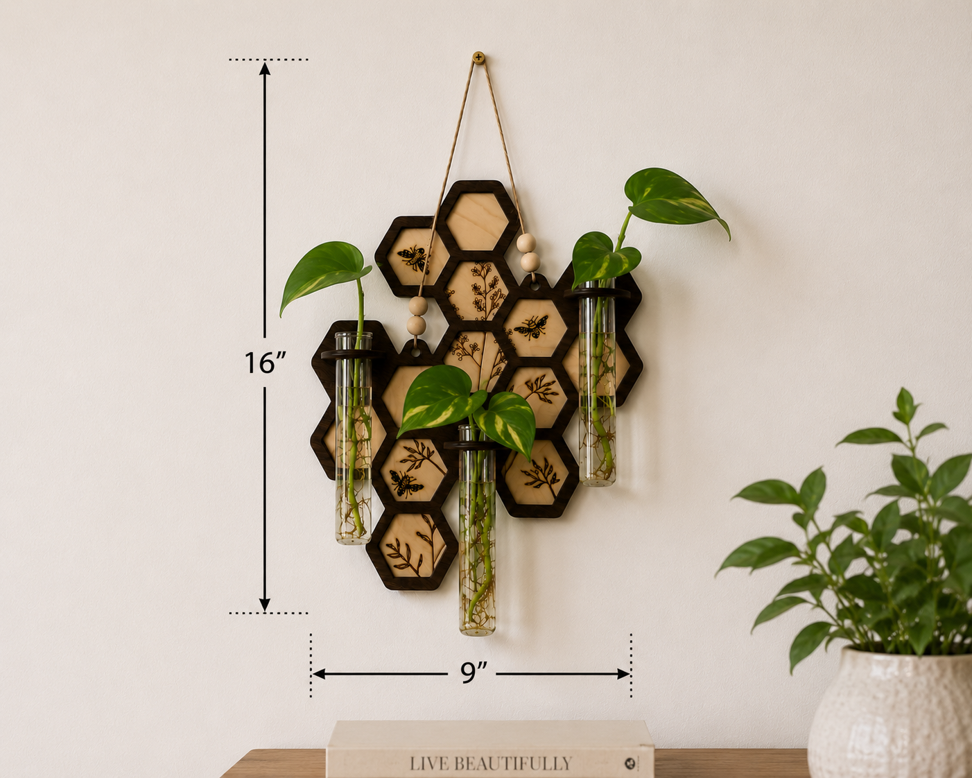 Honeycomb Plant Propagation Station Wall Hanging | Handmade Wood Propagation Station with Glass Tubes | Modern Boho Plant Decor