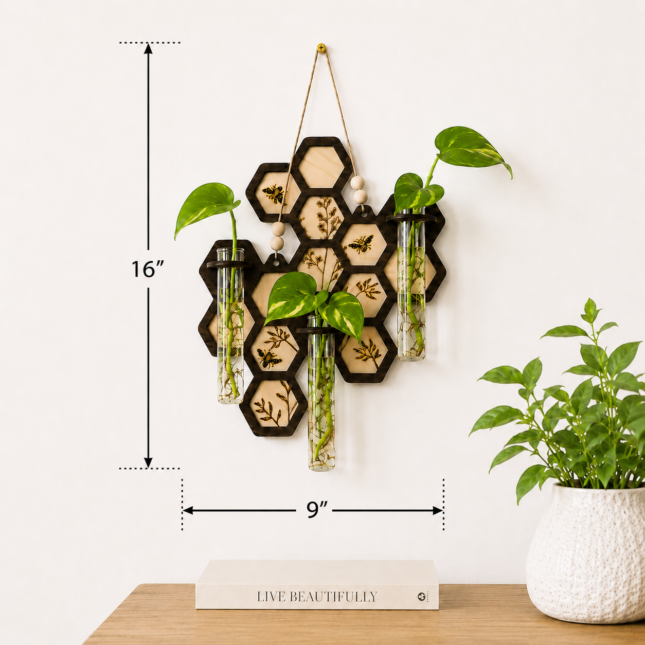 Plant propagation station dimensions showing 16 inch height and 9 inch width wall hanging display