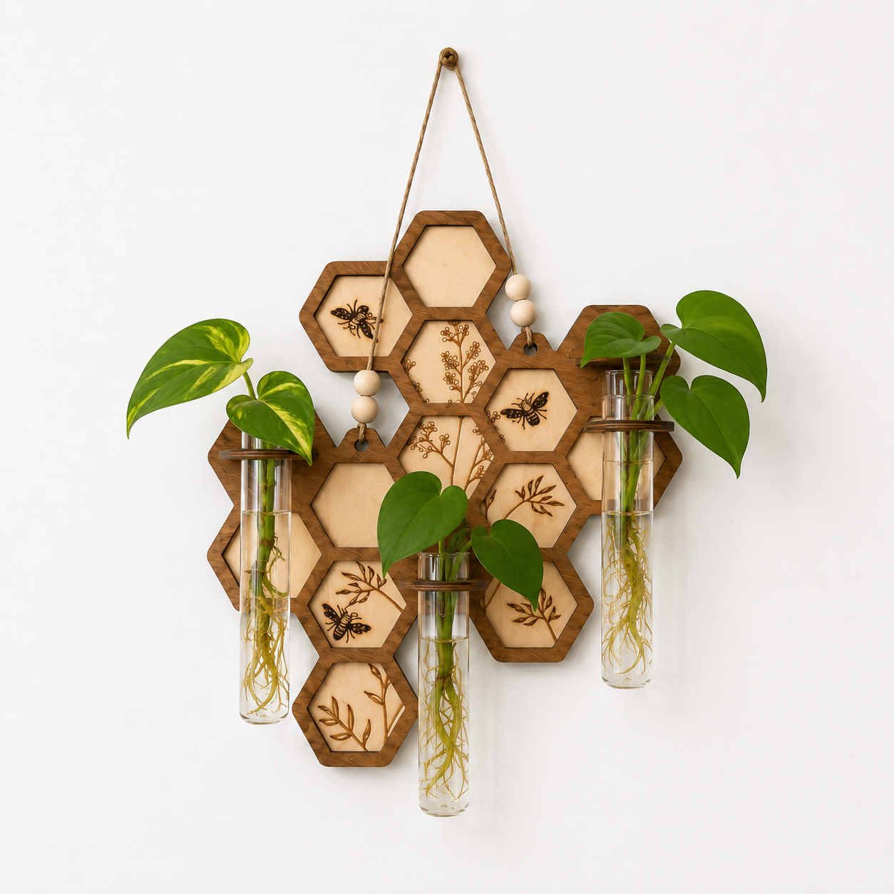 Close-up of honeycomb wood propagation station with rooted pothos cuttings and glass propagation tubes