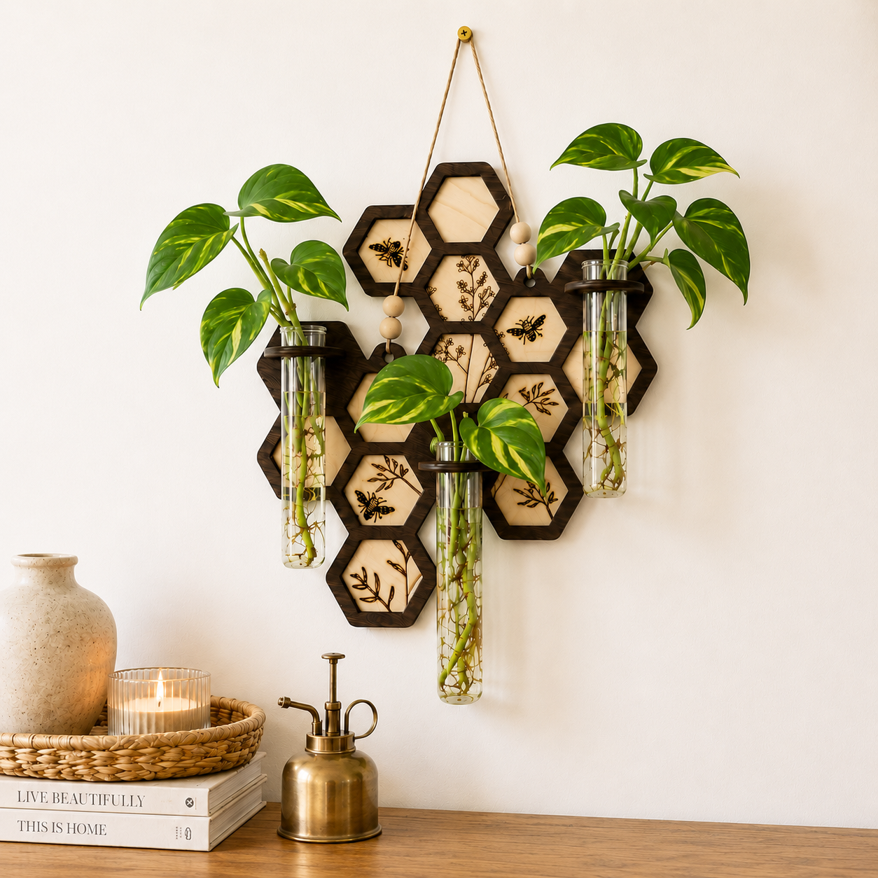 Modern farmhouse wall decor featuring handmade wood propagation station with pothos plant cuttings
