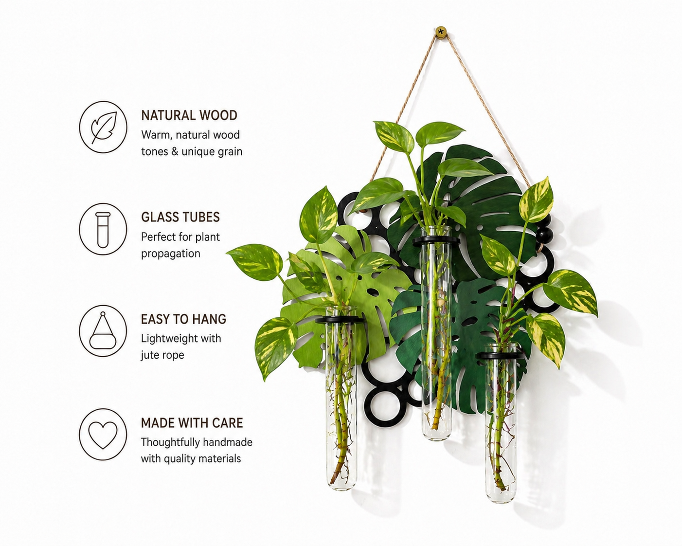 Glass tube plant propagation holder with natural wood