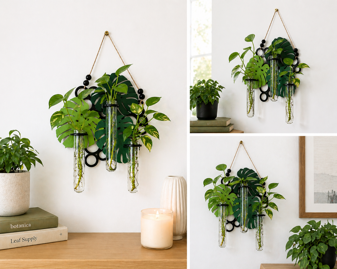 Minimalist wall hanging planter with three glass tubes