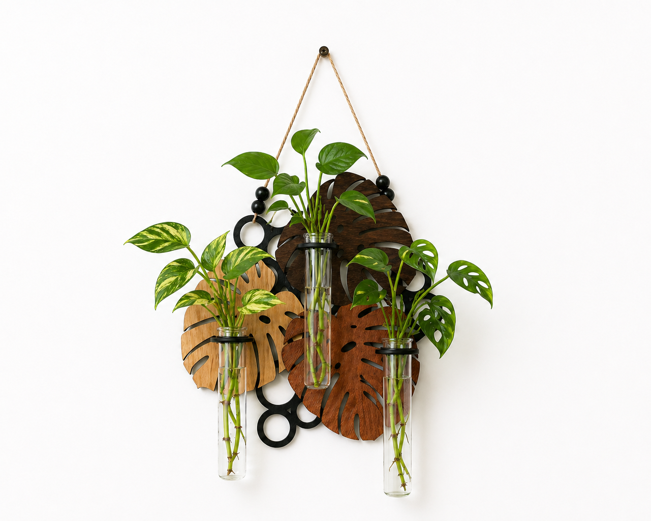 monstera plant reproduction Wall Mounted Plant Propagation Station