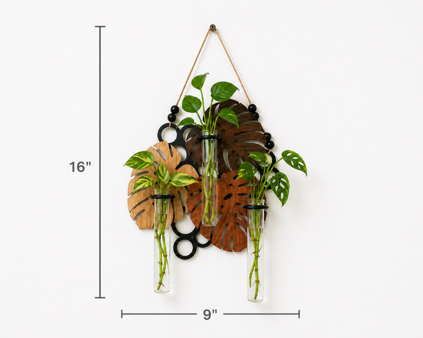 indoor plant propagation wall decor with glass tubes and wood backing