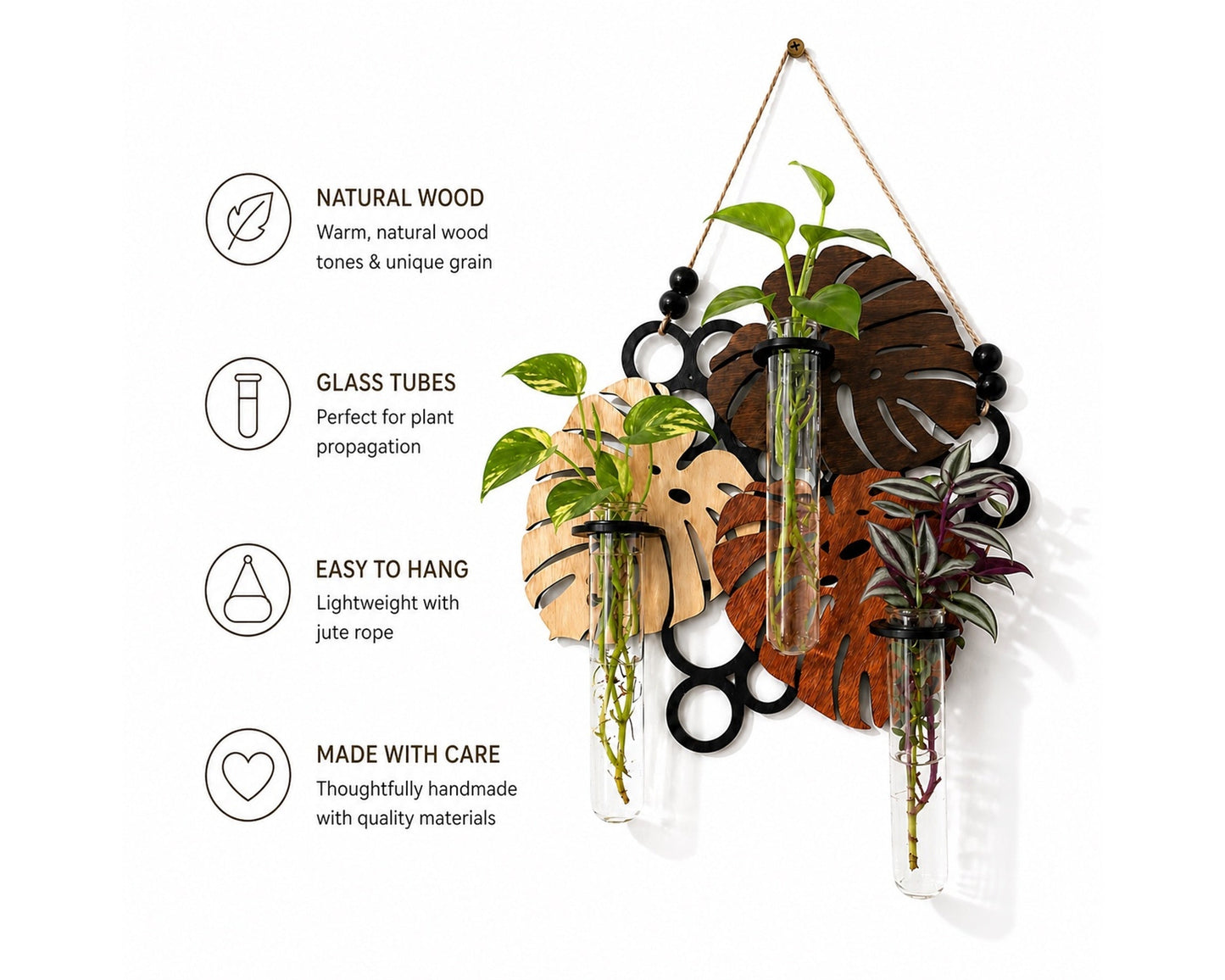 minimalist wall mounted plant holder for propagating plant cuttings