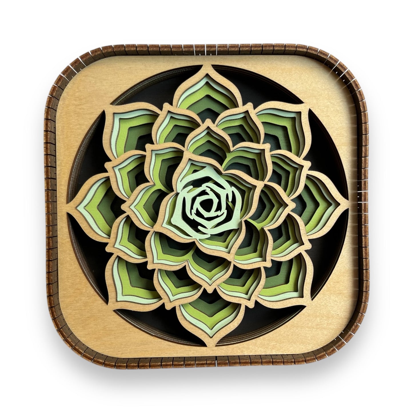 Layered wood succulent shelf sitter featuring green botanical design and natural wood frame