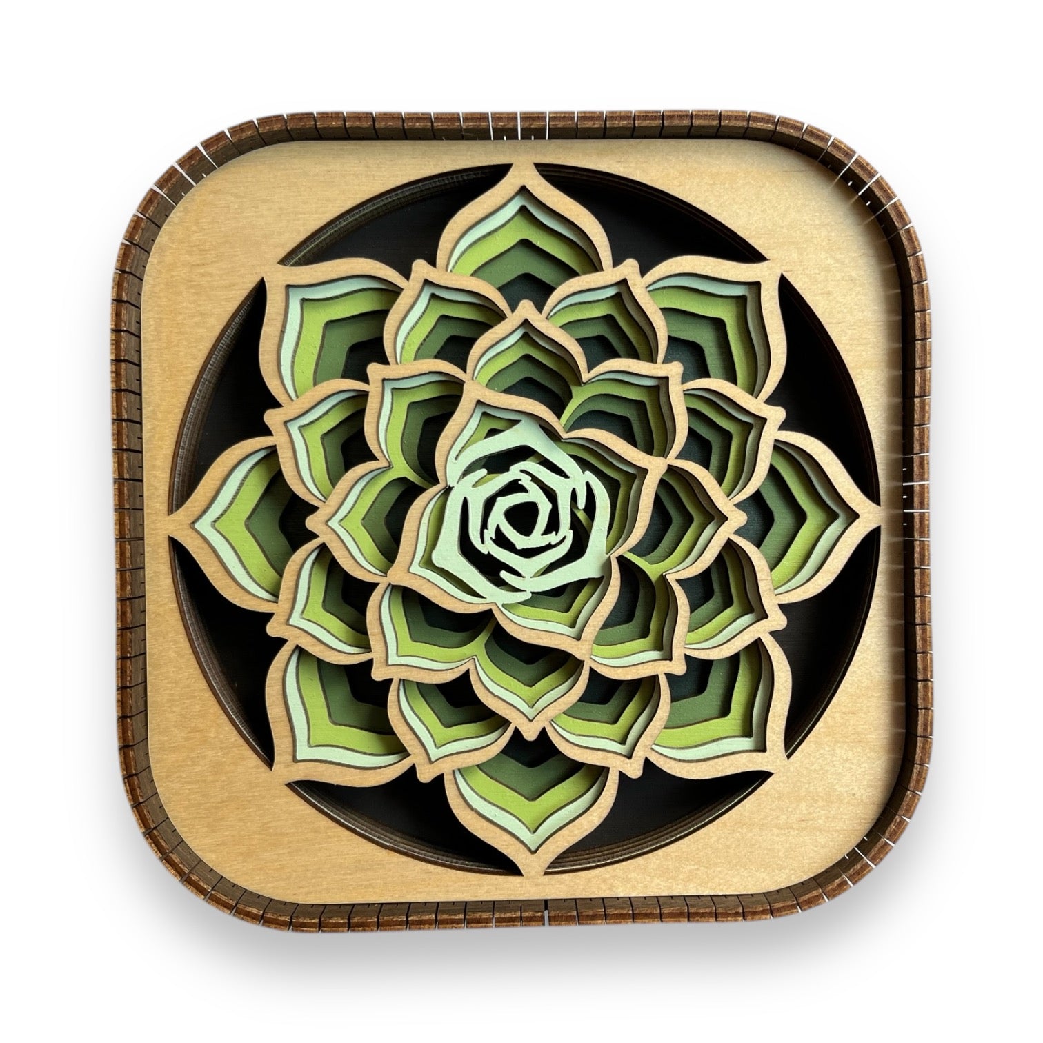 Layered wood succulent shelf sitter featuring green botanical design and natural wood frame